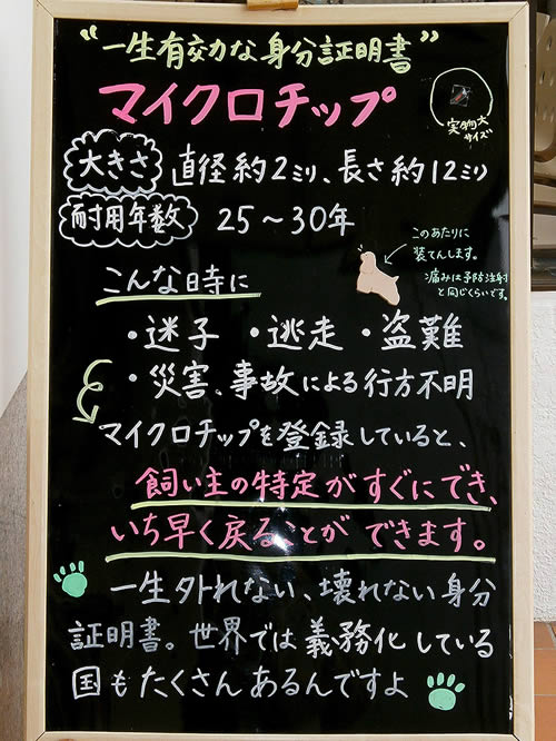 今月の掲示板