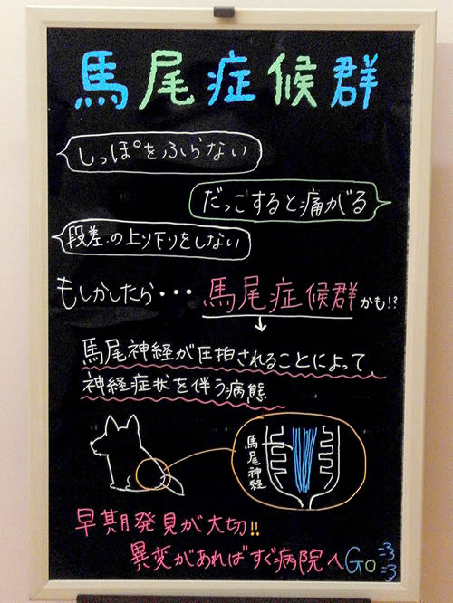 今月の掲示板