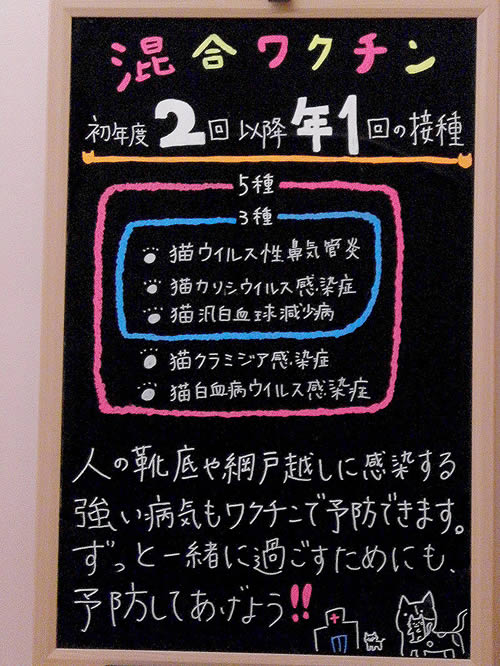 今月の掲示板