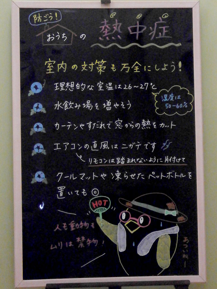今月の掲示板