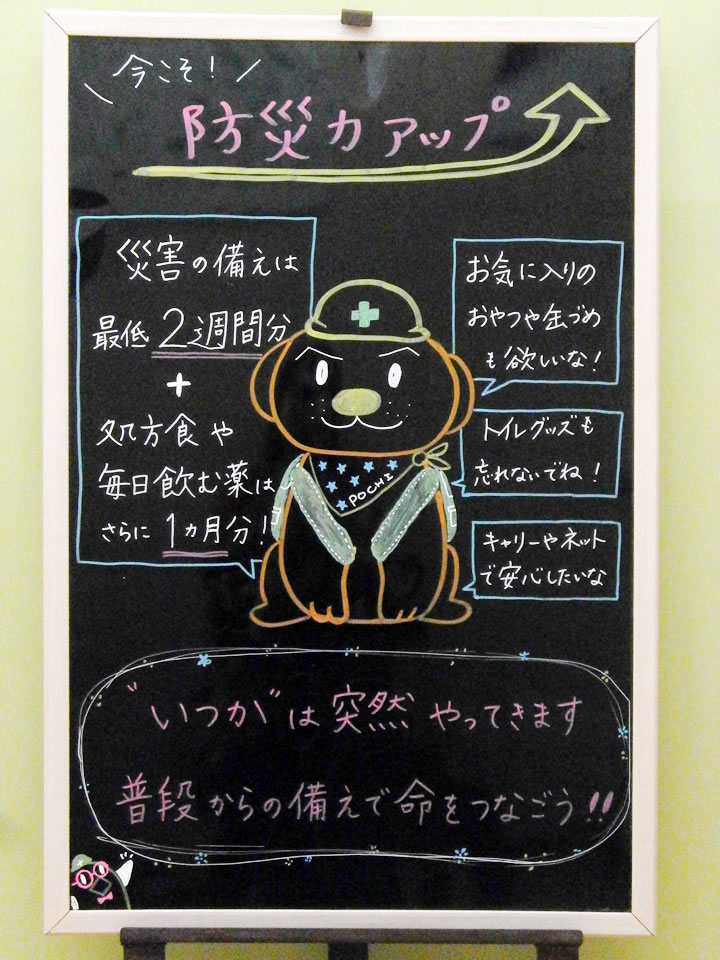 今月の掲示板