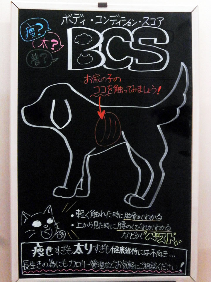 今月の掲示板