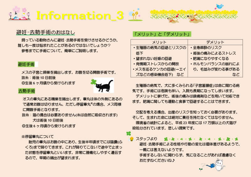 今月の掲示板