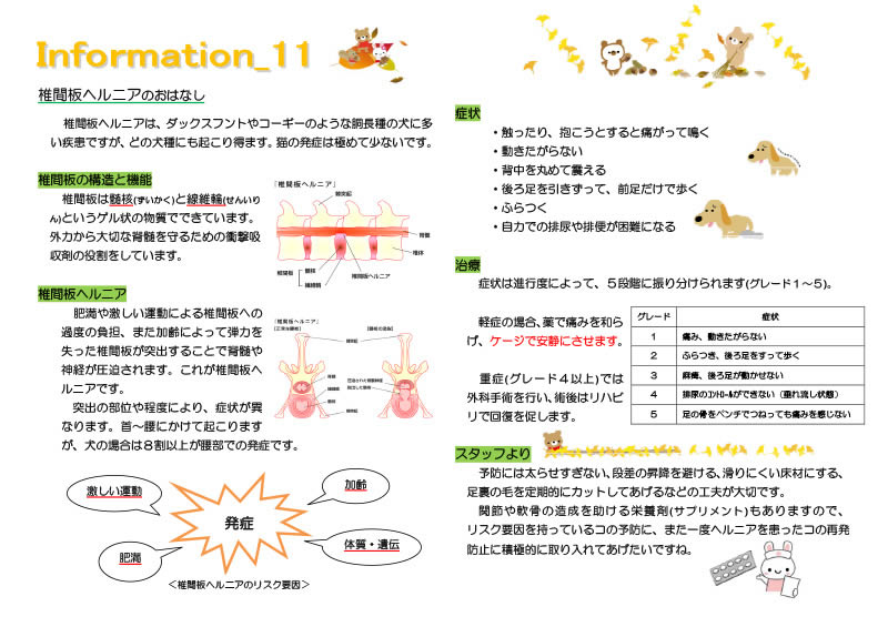 今月の掲示板