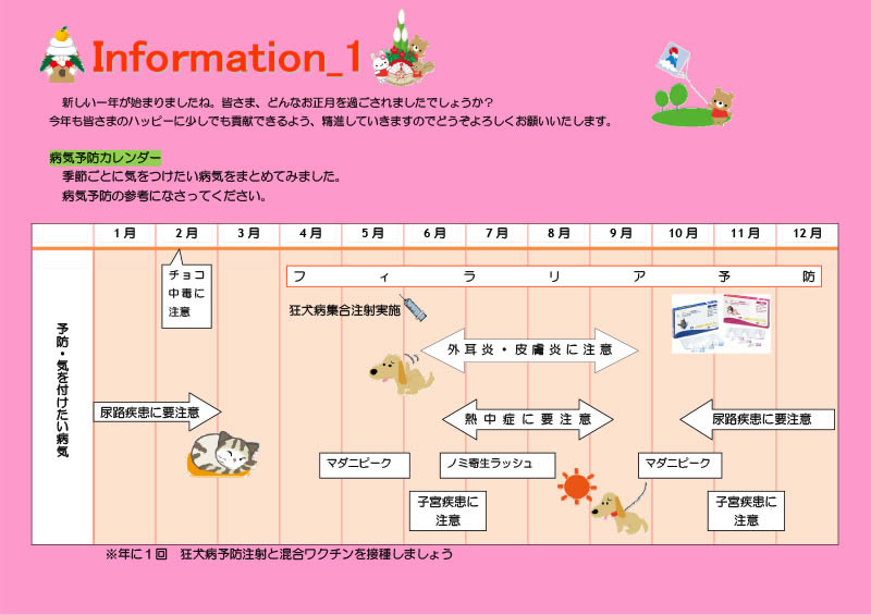 今月の掲示板