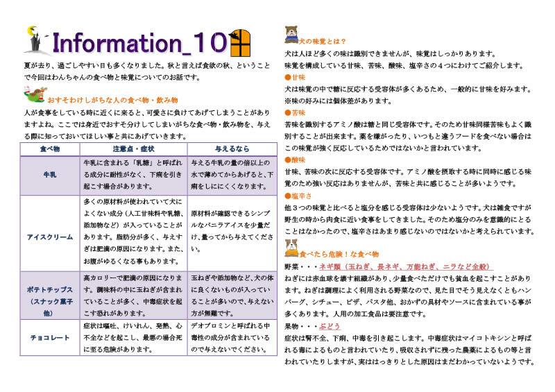 今月の掲示板