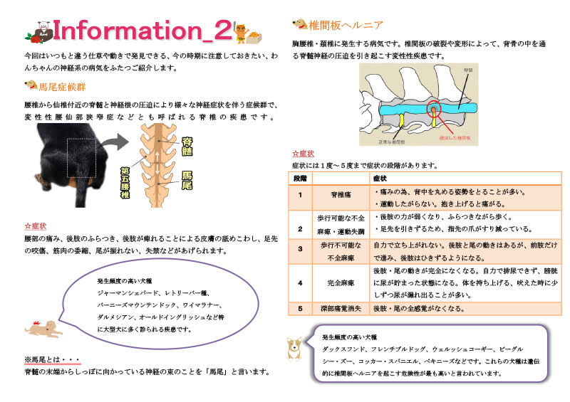 今月の掲示板