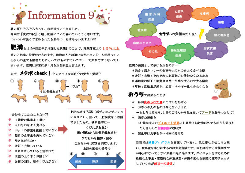 今月の掲示板