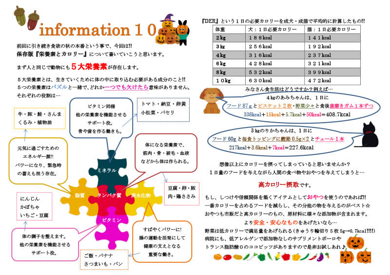 今月の掲示板