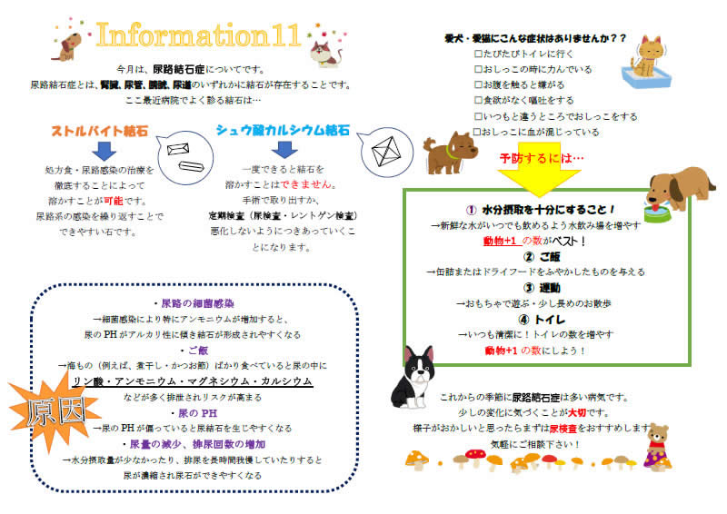 2017年11月のインフォメーション