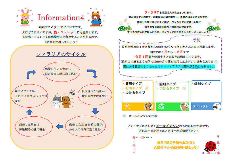 今月のインフォメーション