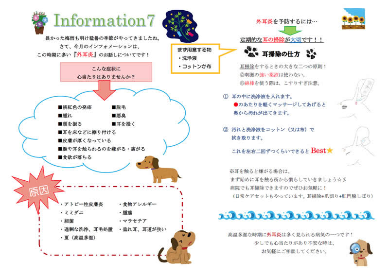 今月のインフォメーション