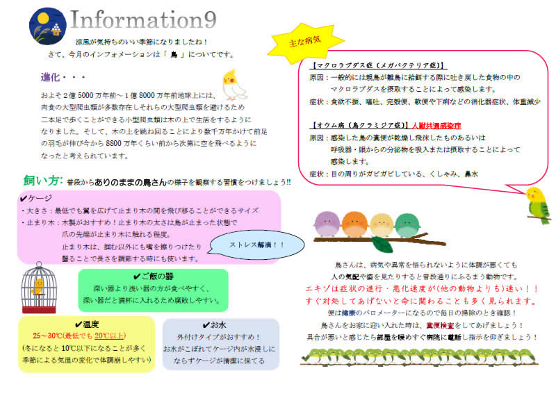 今月のインフォメーション