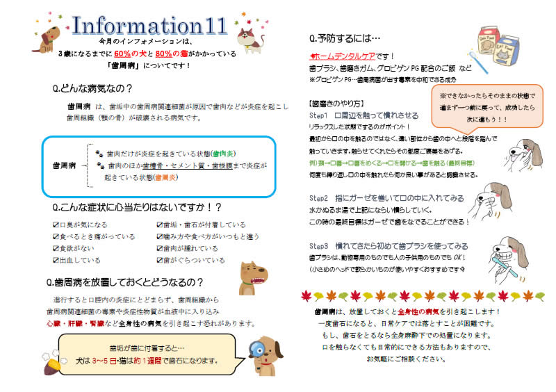 今月のインフォメーション