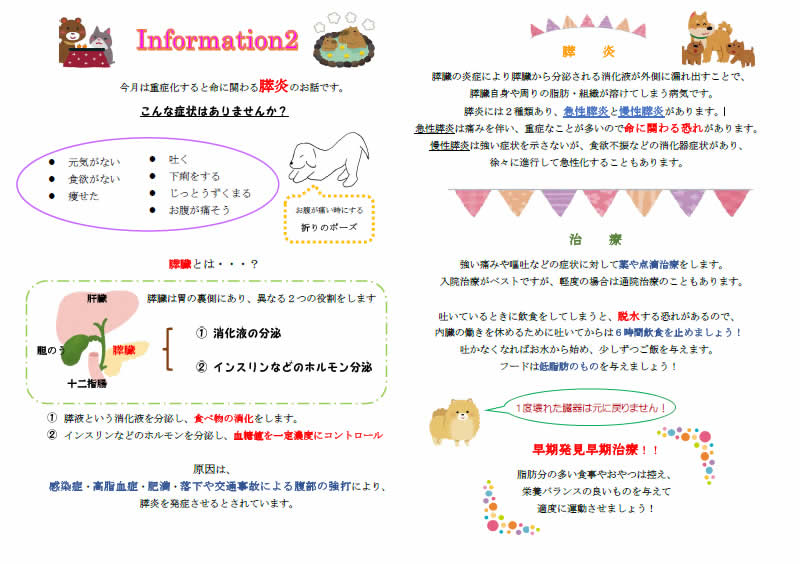 今月のインフォメーション