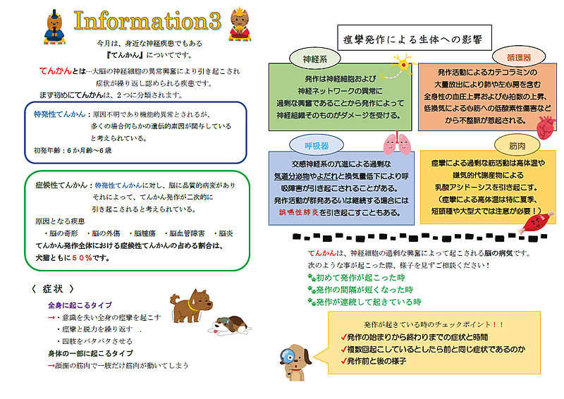 今月のインフォメーション