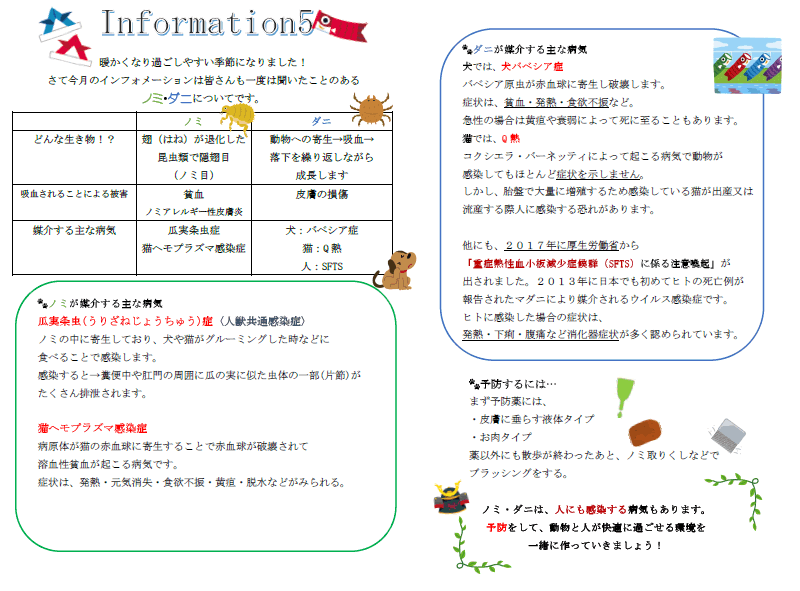 今月のインフォメーション