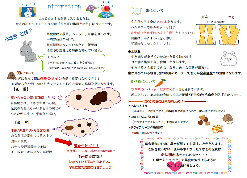 今月のインフォメーション