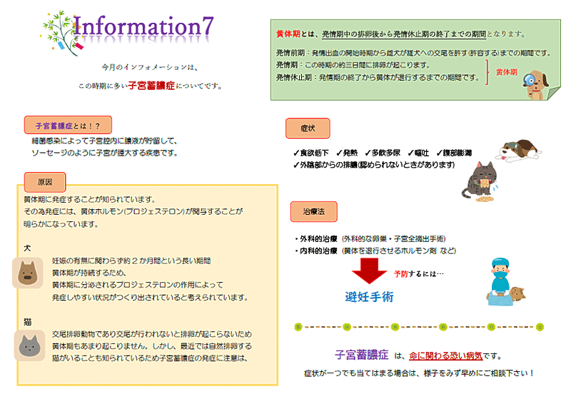 今月のインフォメーション