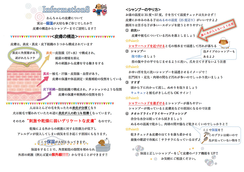 今月のインフォメーション