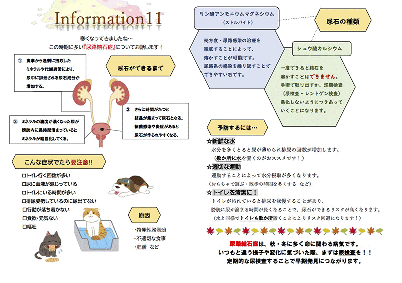 今月のインフォメーション