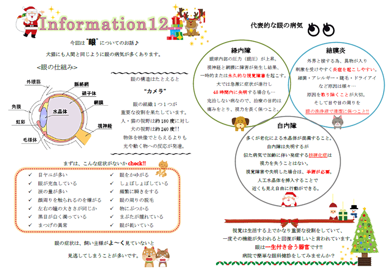 今月のインフォメーション