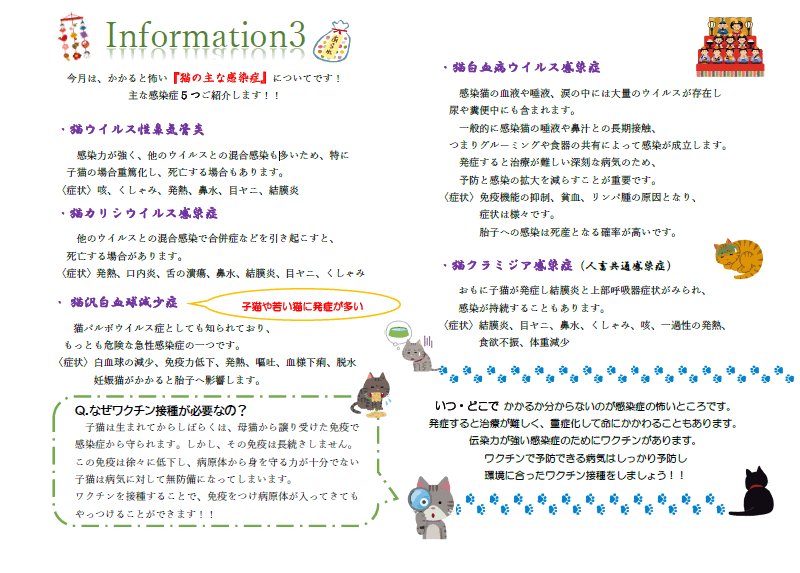 今月のインフォメーション