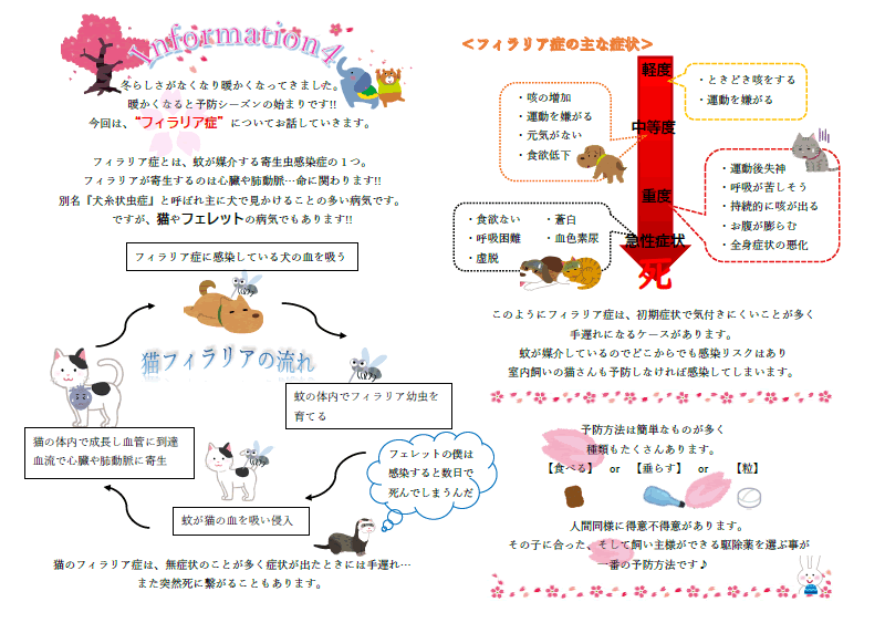 今月のインフォメーション