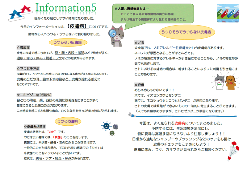 今月のインフォメーション