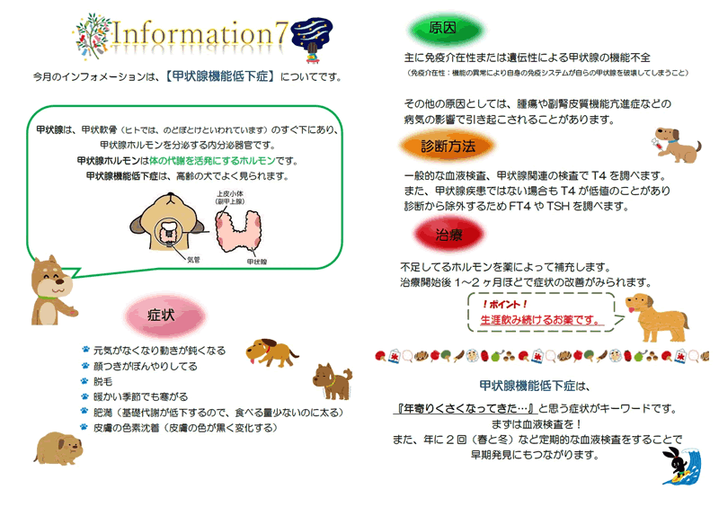 今月のインフォメーション