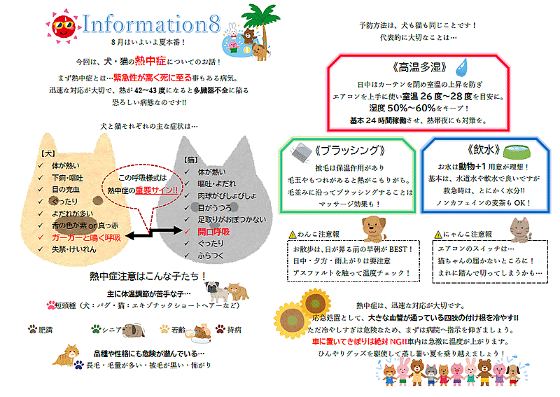 今月のインフォメーション