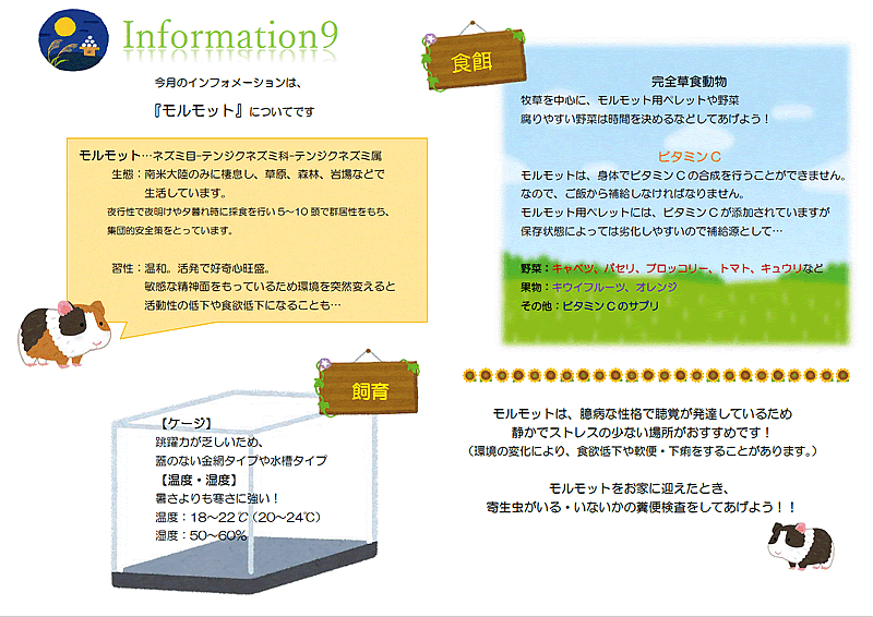 今月のインフォメーション