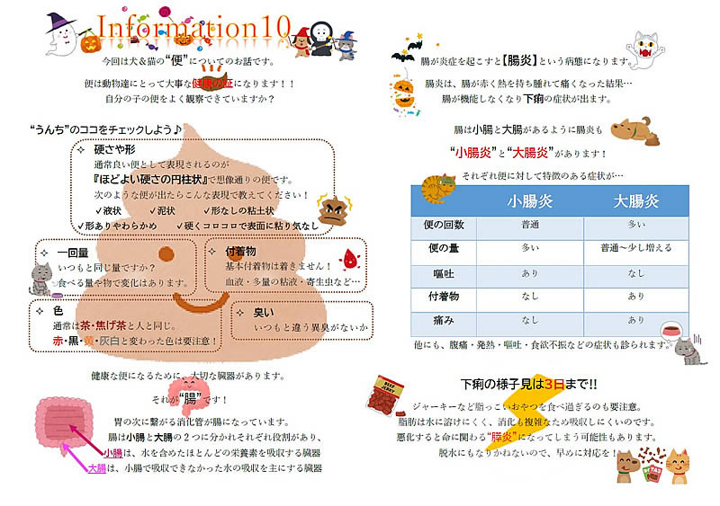 今月のインフォメーション