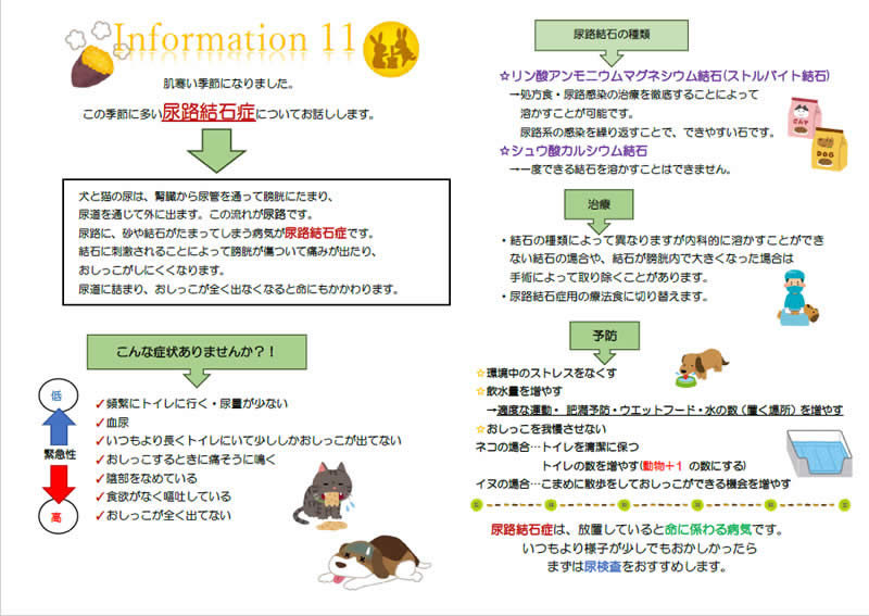 今月のインフォメーション