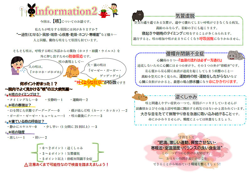 今月のインフォメーション