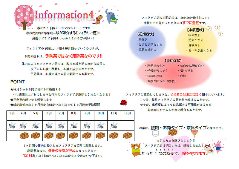 今月のインフォメーション