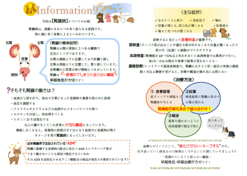 今月のインフォメーション