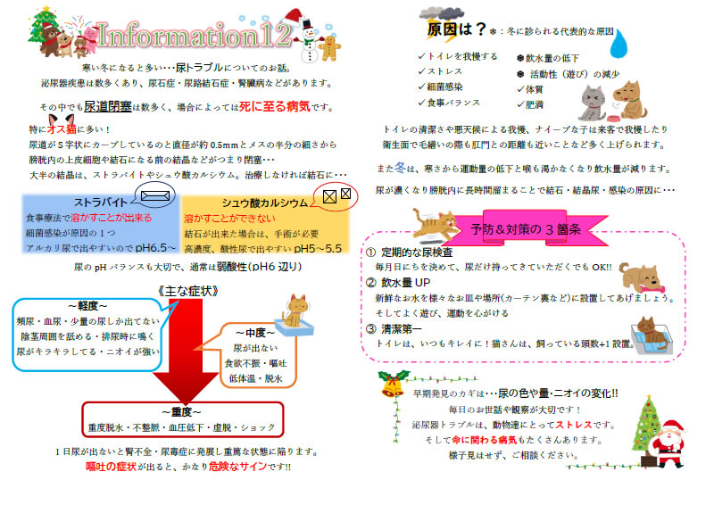 今月のインフォメーション