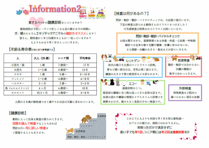 今月のインフォメーション