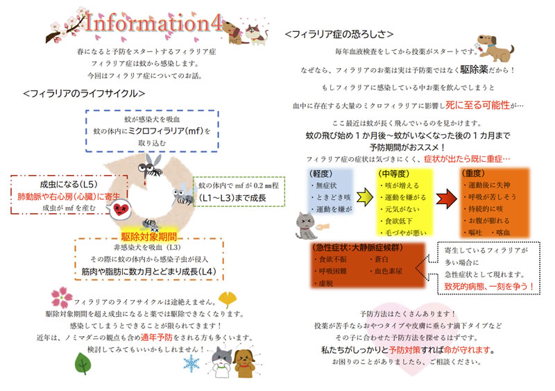 今月のインフォメーション