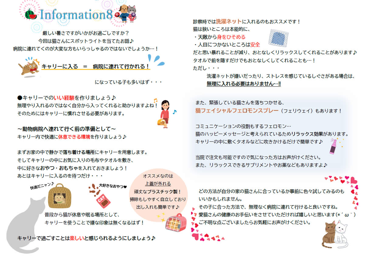今月のインフォメーション