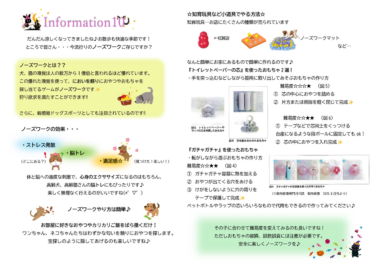 今月のインフォメーション
