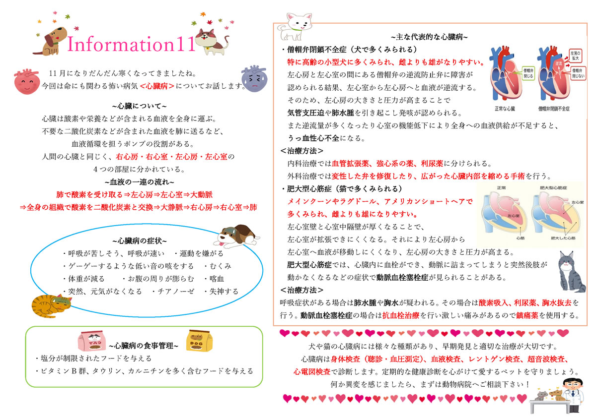 今月のインフォメーション