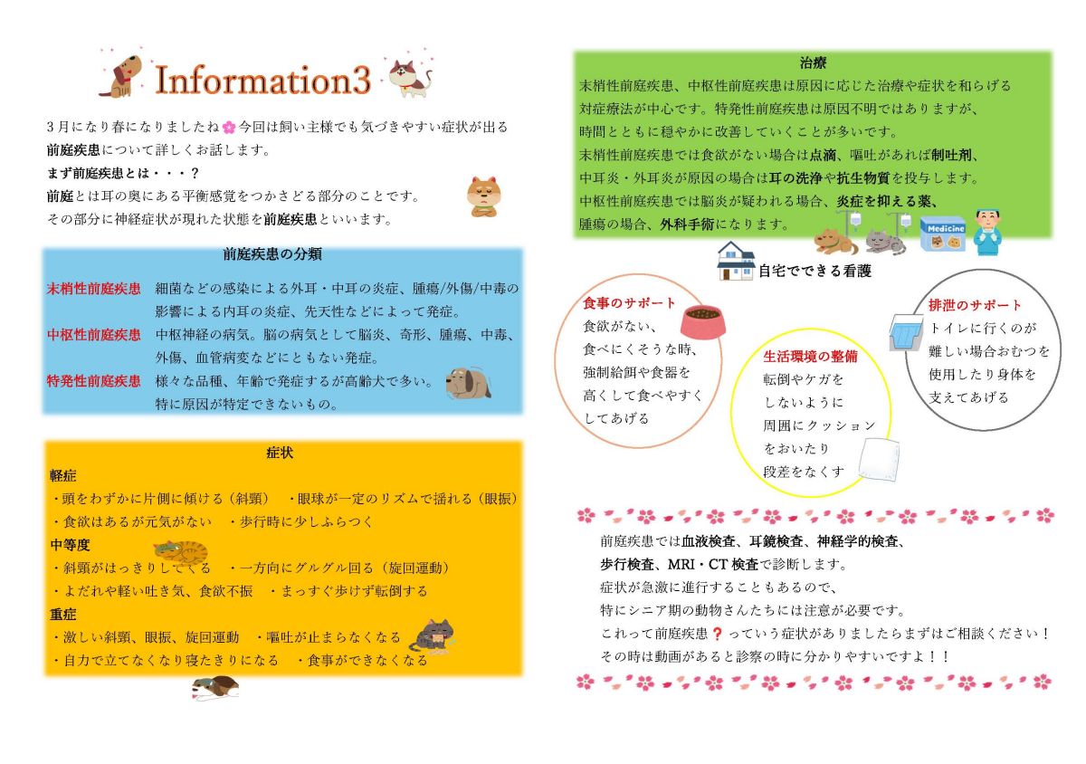 今月のインフォメーション